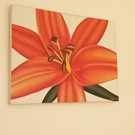 Appartement Croisette Sainte-Maxime Eksteriør bilde